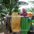 high quality banana growing paper bag